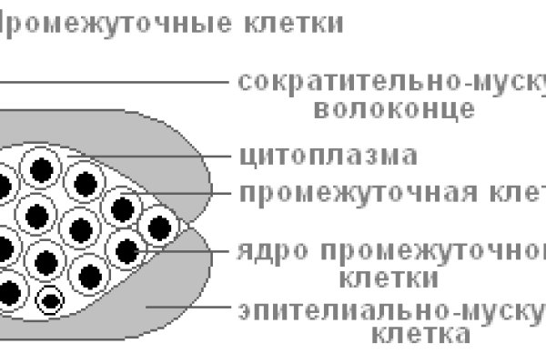 Как восстановить аккаунт на кракене даркнет