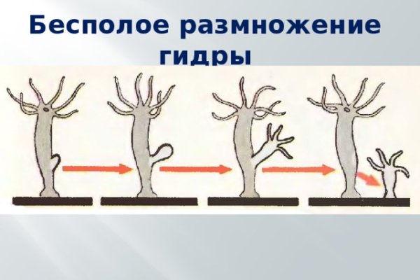 Кракен даркнет не работает