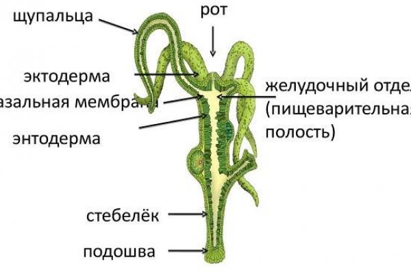 Kraken onion зеркало