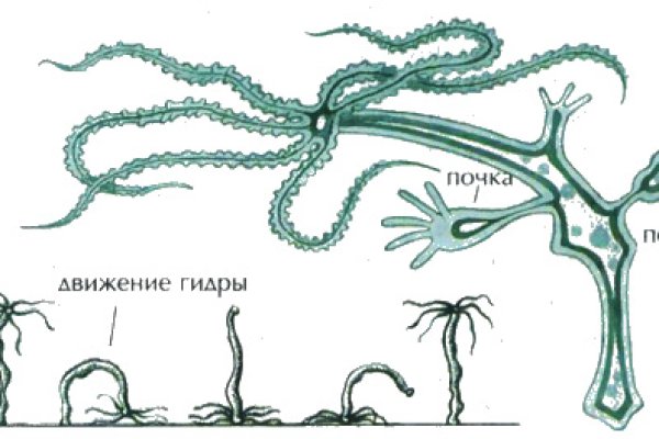 Кракен ссылка onion