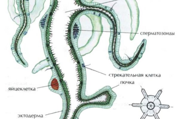 Кракен маркет наркотики