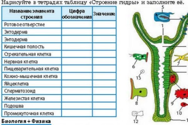 Кракен даркнет сайт ссылка